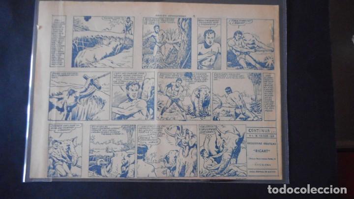 Tebeos: JORGA &rdquo;PIEL DE BRONCE&rdquo; N&ordm; 11 / CLAS - Foto 2