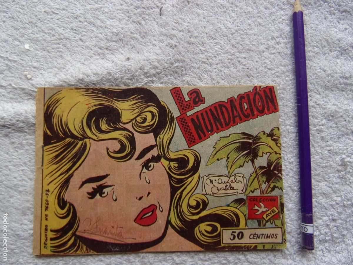 Tebeos: colecci&oacute;n ave n&uacute;mero 164 la inundaci&oacute;n - Foto 1