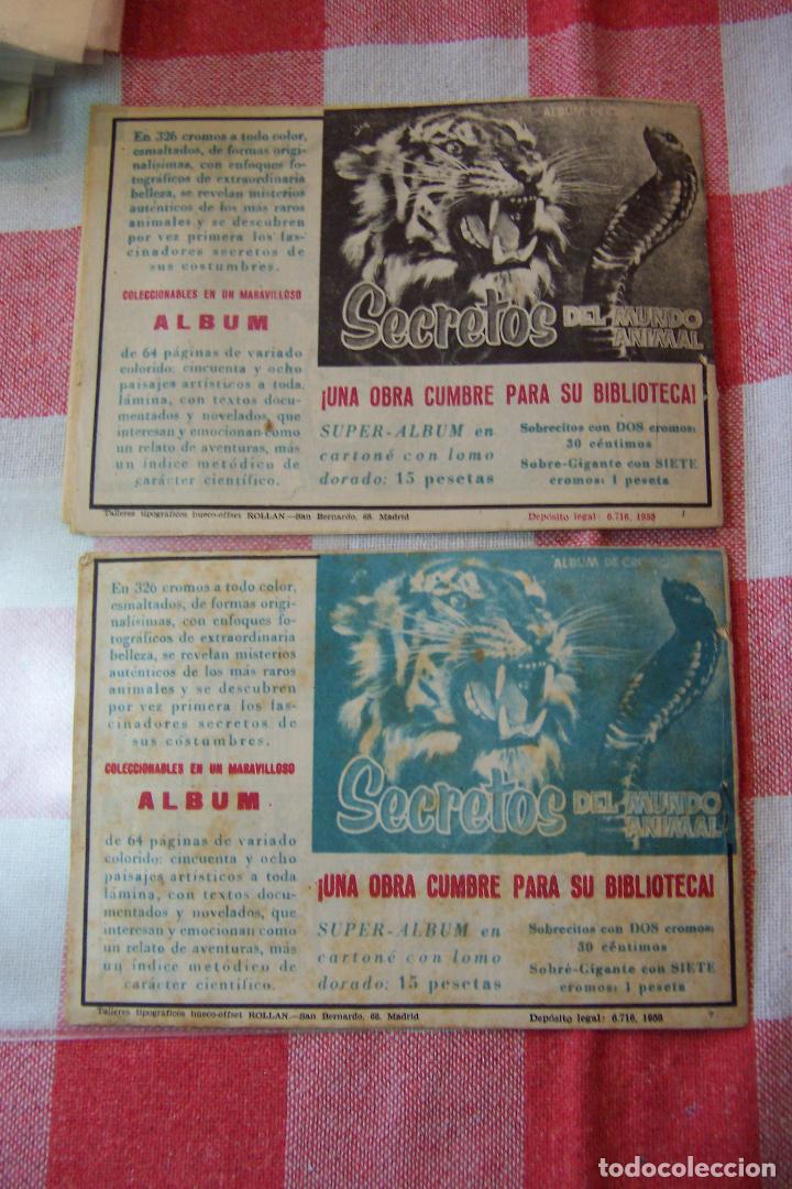 Tebeos: rollan, maripositas n&ordm; 1 -2- 3 -4-5- 6 - 7 y 8 ultimo - Foto 2