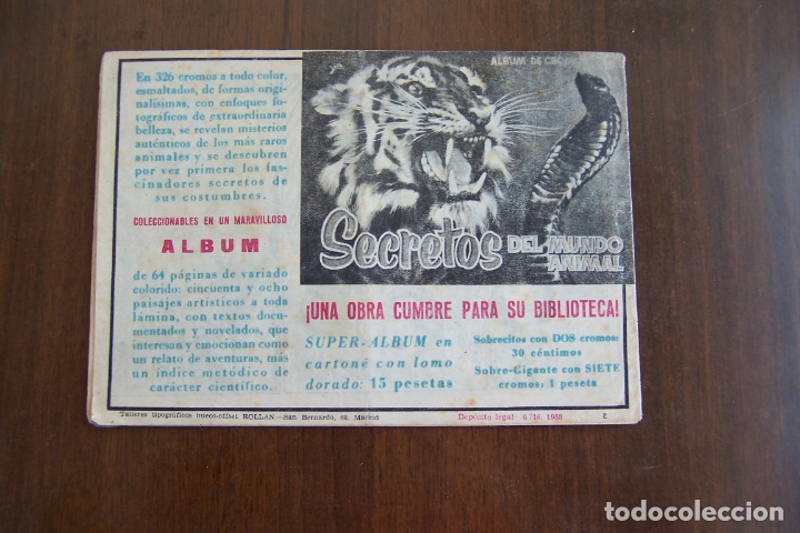 Tebeos: rollan, maripositas n&ordm; 1 -2- 3 -4-5- 6 - 7 y 8 ultimo - Foto 6