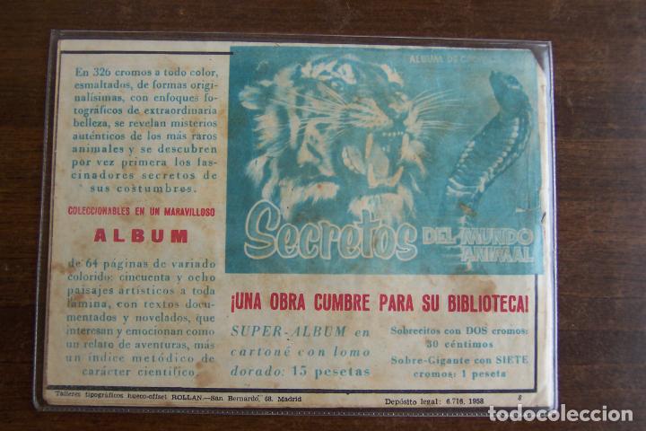 Tebeos: rollan, maripositas n&ordm; 1 -2- 3 -4-5- 6 - 7 y 8 ultimo - Foto 8