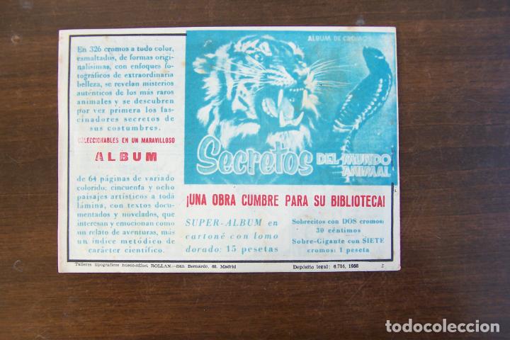 Tebeos: rollan, maripositas n&ordm; 1 -2- 3 -4-5- 6 - 7 y 8 ultimo - Foto 10