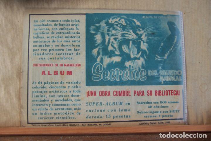 Tebeos: rollan, maripositas n&ordm; 1 -2- 3 -4-5- 6 - 7 y 8 ultimo - Foto 12