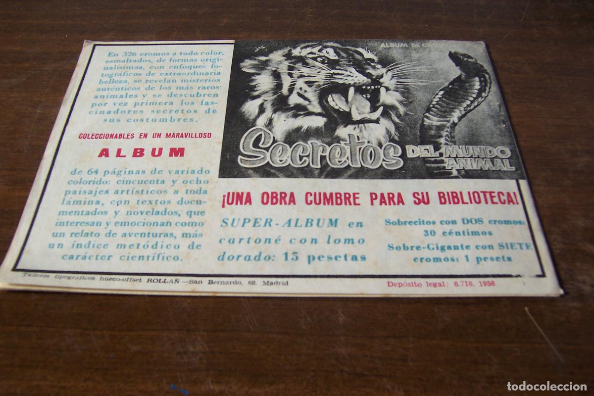 Tebeos: rollan, maripositas n&ordm; 1 -2- 3 -4-5- 6 - 7 y 8 ultimo - Foto 14