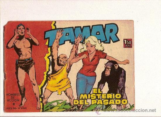 Tebeos: TAMAR N&ordm;81    DE TORAY - Foto 1