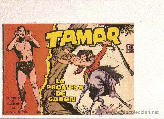 Tebeos: TAMAR N&ordm;69   DE TORAY - Foto 1