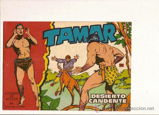 Tebeos: TAMAR N&ordm;66    DE TORAY - Foto 1
