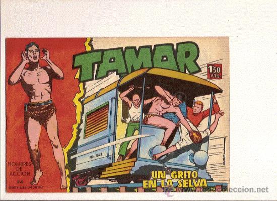 Tebeos: TAMAR N&ordm;24    DE TORAY - Foto 1