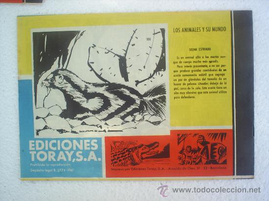 Tebeos: TAMAR N.100 , ORIGINAL - EDICIONES TORAY - Foto 2