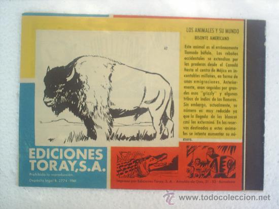 Tebeos: TAMAR N.62 ORIGINAL ,EDICIONES TORAY ,BIEN CONSERVADO - Foto 2