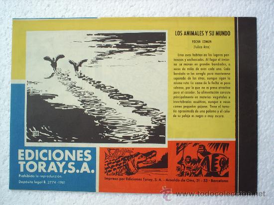 Tebeos: TAMAR N.138 - EDICIONES TORAY - ORIGINAL - Foto 2
