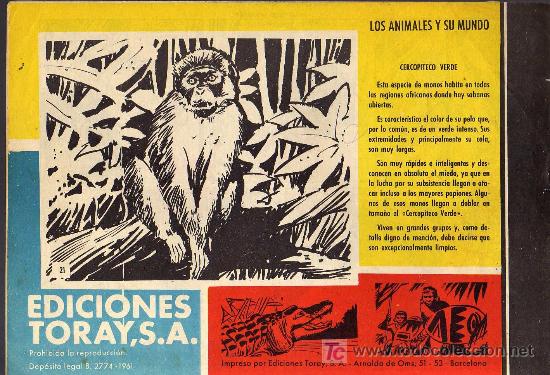 Tebeos: TAMAR - Nº 21 - BORRELL/ACEDO - EDICIONES TORAY 1961 - ORIGINAL, NO FACSIMIL - Foto 2 - 16002385