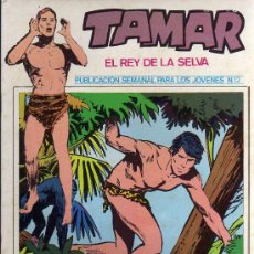 Tebeos: TAMAR, EL REY DE LA SELVA Nº 12 - ACEDO / BORREL - EDICIONES URSUS - 1973. Lote 16130162