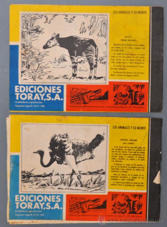 Tebeos: LOTE DE 15 TAMAR, EDICIONES TORAY. - Foto 3