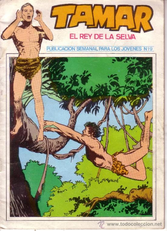 Tebeos: TAMAR EL REY DE LA SELVA - N&ordm; 19 - Foto 1