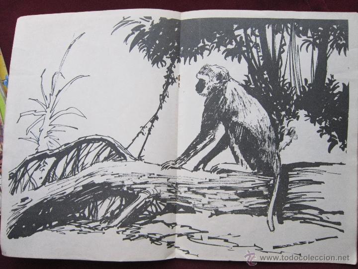 Tebeos: Tamar, el Rey de la Selva N&ordm; 28. Toray-Ursus. Poster central - Foto 2