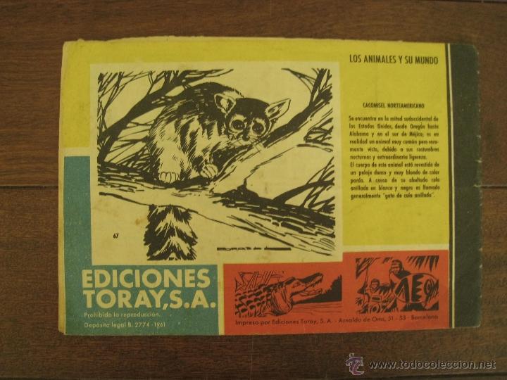 Tebeos: TAMAR - EN BUSCA DEL PELIGRO , N&ordm; 67 - EDICIONES TORAY 1961. - Foto 7