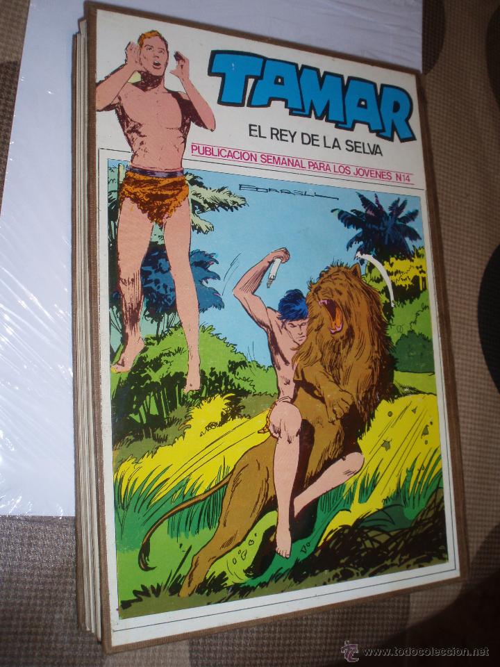 Tebeos: tomo tamar el rey de la selva del 1 al 16 - Foto 1