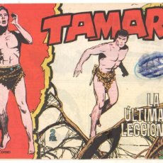Tebeos: TAMAR ORIGINAL Nº - 144 ,EDITORIAL TORAY 1961, DIBUJO ANTONIO BORRELL - 