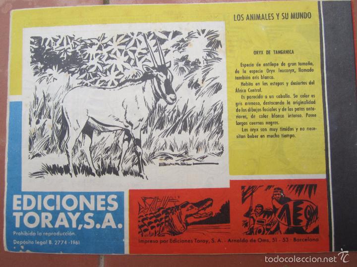 Tebeos: tamar , numero 26 como las fieras , original - toray - Foto 2