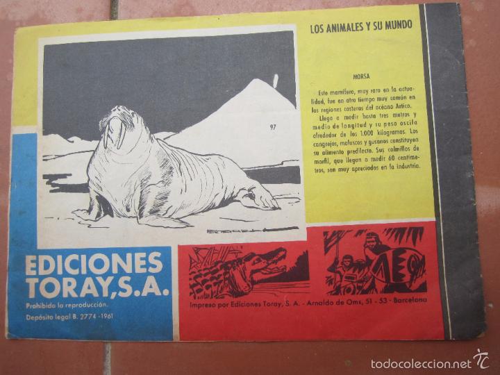 Tebeos: tamar , numero 97 la ley del hombre blanco, original - toray - Foto 2