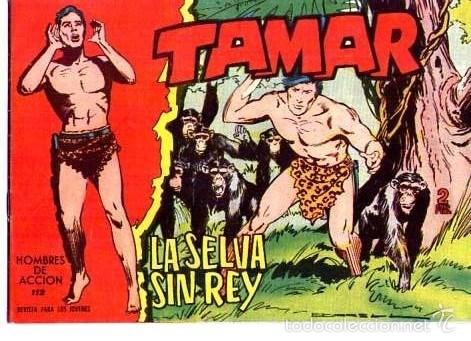 Tebeos: Tamar (Toray)  N&ordm; 112 - Foto 1