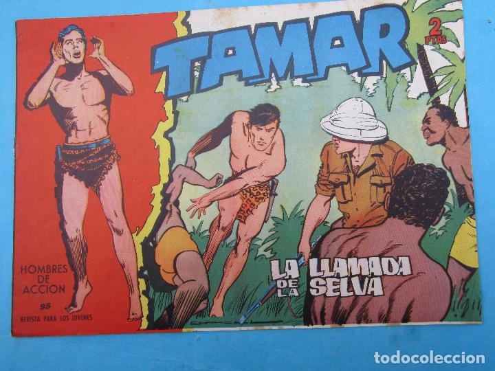 Tebeos: tamar , numero 95 , la llamada de la selva , toray , sin abrir - Foto 1