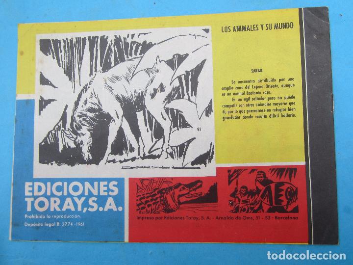 Tebeos: tamar , numero 95 , la llamada de la selva , toray , sin abrir - Foto 4