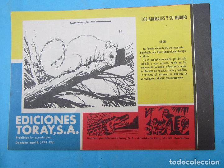 Tebeos: tamar , numero 98 , entre amigos , toray - Foto 3