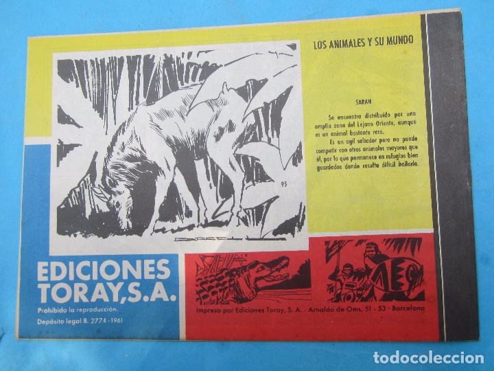 Tebeos: tamar , numero 95 , la llamada de la selva , como nuevo , sin abrir - Foto 4