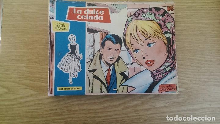 Tebeos: TEBEO COLECCI&Oacute;N ROSAS BLANCAS N&ordm; 42 &laquo;LA DULCE CELADA&raquo; - Foto 1