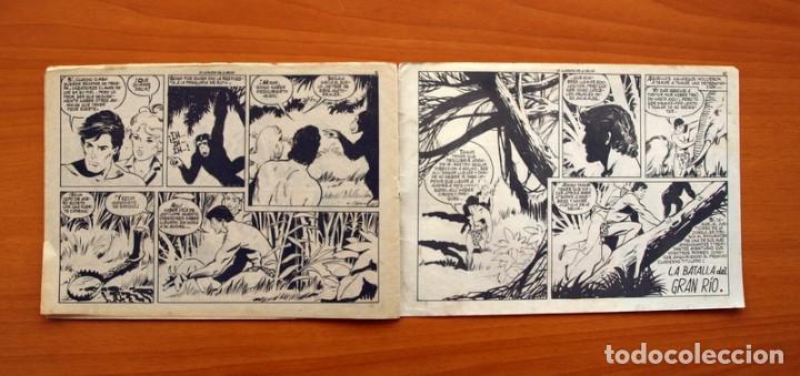 Tebeos: Tamar - N&ordm; 95, La llamada de la Selva - Ediciones Toray 1961 - Foto 6
