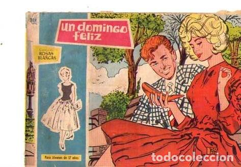 Tebeos: Rosas Blancas (Toray)  n&ordm; 249 - Foto 1