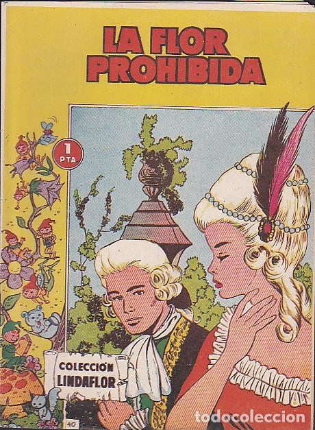 Tebeos: COMIC COLECCION LINDAFLOR N&ordm; 40 - Foto 1
