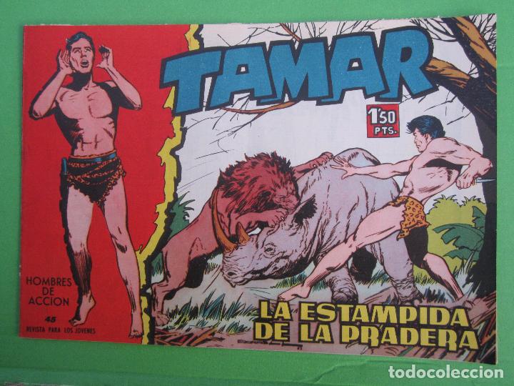 Tebeos: tamar , numero 45 , la estampida de la pradera , toray 1961 - Foto 1
