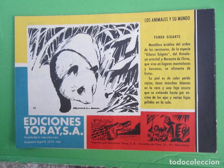 Tebeos: tamar , numero 45 , la estampida de la pradera , toray 1961 - Foto 2