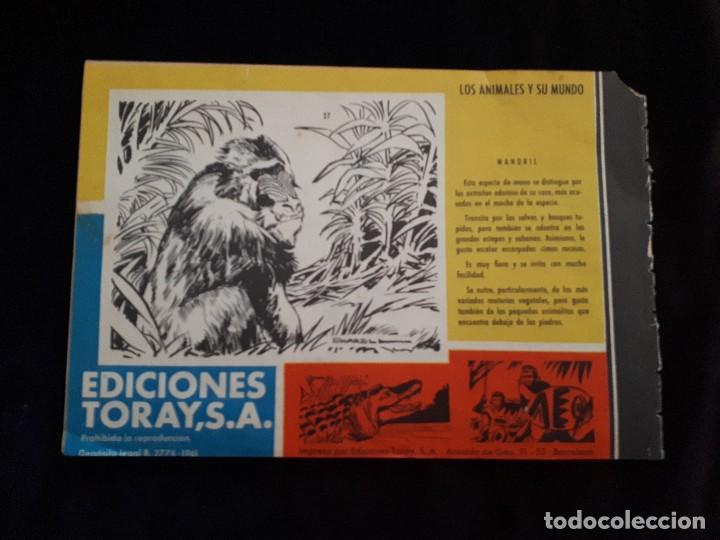 Tebeos: Tamar. Hombres de acci&oacute;n. Diversos ejemplares. - Foto 3