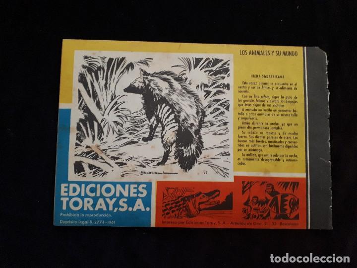Tebeos: Tamar. Hombres de acci&oacute;n. Diversos ejemplares. - Foto 6