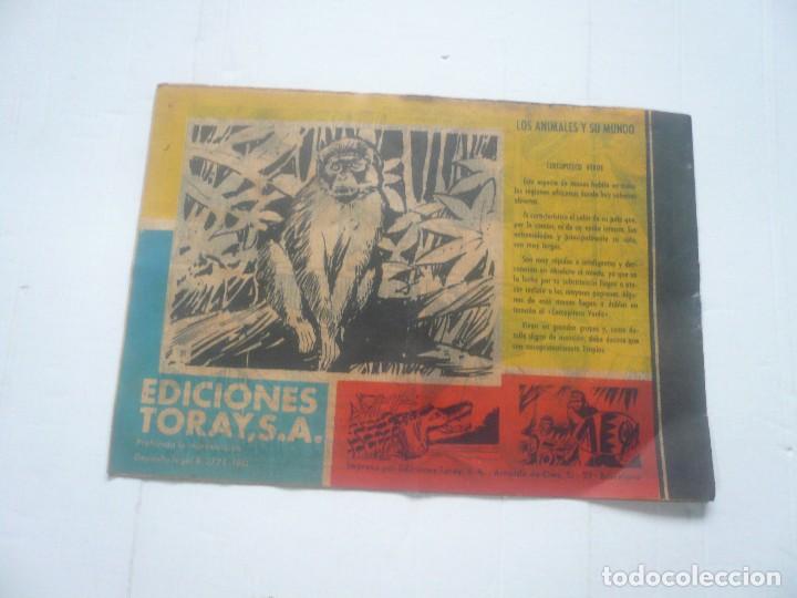 Tebeos: Tamar-Un hallazgo intrigante - Foto 4