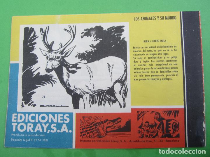 Tebeos: tamar , numero 70 , el gran bwana , 1961 - Foto 2