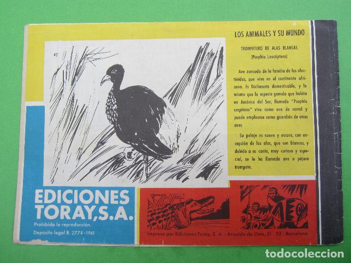 Tebeos: tamar numero 42 , en poder de los bulusssi, toray 1961 - Foto 2