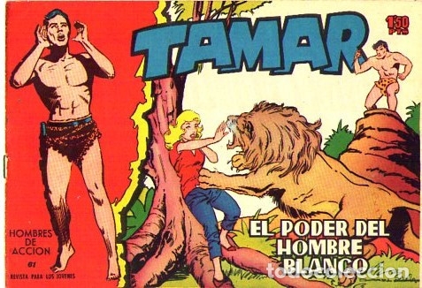 Tebeos: Tamar (Toray)  N&ordm; 61 - Foto 1