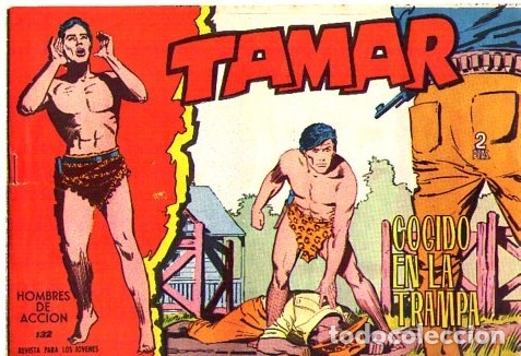 Tebeos: Tamar (Toray)  N&ordm; 132 - Foto 1