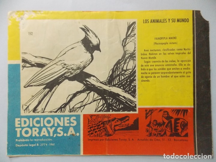Tebeos: COMIC - TAMAR - N&ordm; 152 , LA REDADA - EDICIONES TORAY , A&Ntilde;O 1961 - ORIGINAL .. L395 - Foto 5
