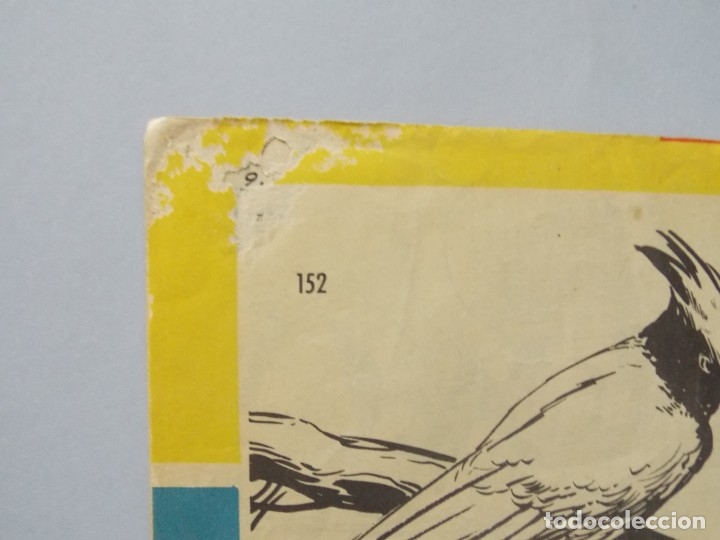 Tebeos: COMIC - TAMAR - N&ordm; 152 , LA REDADA - EDICIONES TORAY , A&Ntilde;O 1961 - ORIGINAL .. L395 - Foto 6