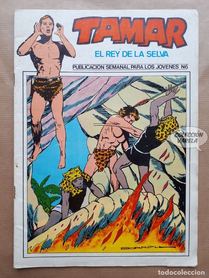 Tebeos: Tamar el rey de la selva n&ordm; 6 - Toray - Foto 1