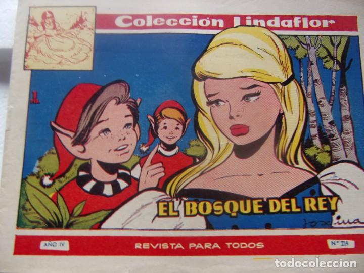 Tebeos: COLECCION LINDAFLOR N&uacute;m. 325- EL BOSQUE DEL REY - Foto 1