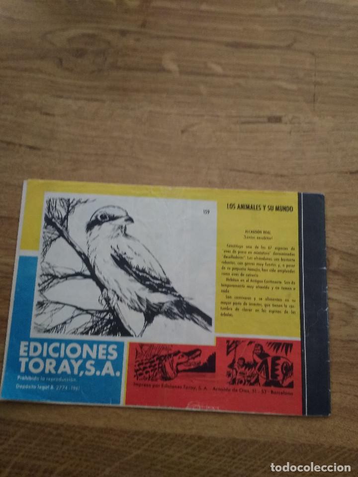 Tebeos: TAMAR N&ordm; 159 - Foto 2