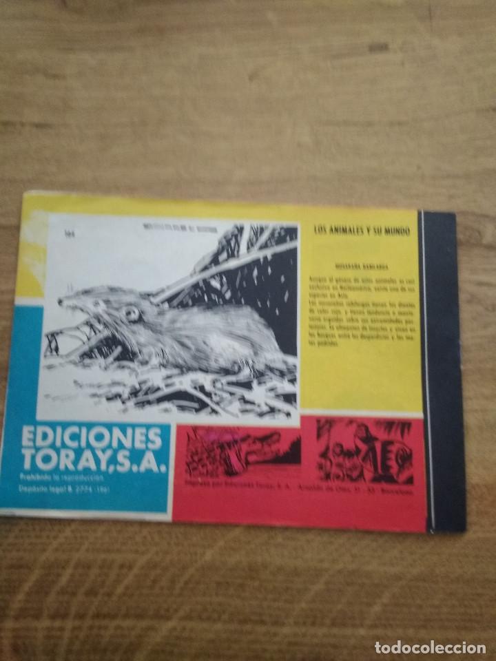 Tebeos: TAMAR N&ordm; 164 - Foto 2