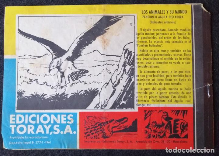 Tebeos: TAMAR N&ordm; 17 - LA CARGA DE LOS LEOPARDOS - ORIGINAL - TORAY 1961 - Foto 2